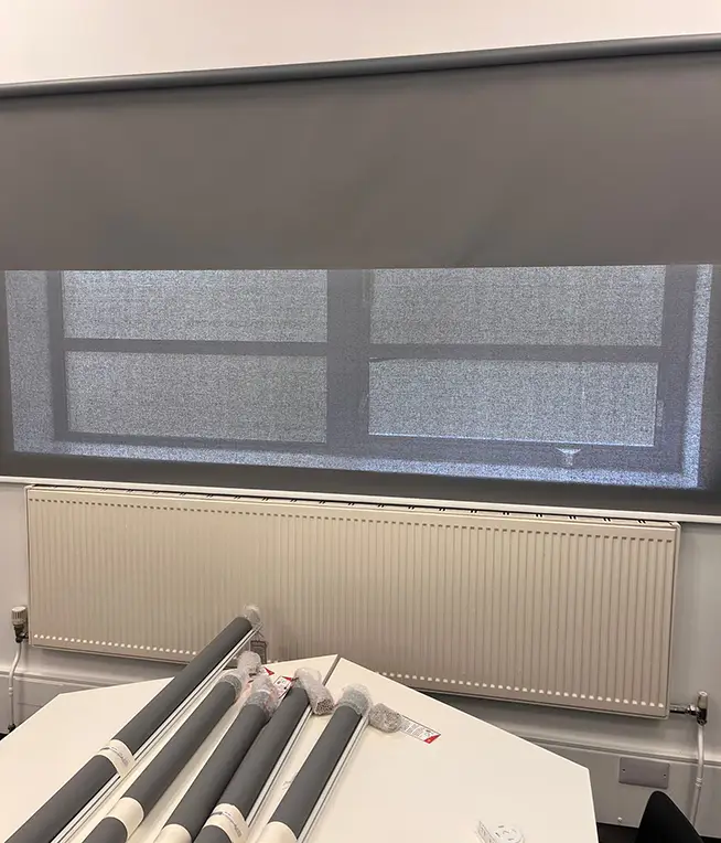 Duo Shades London Blinds