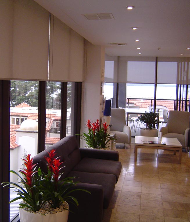 Office Blinds Installation